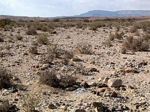 wilderness-south-of-machtesh-ramon4-tb-q010403